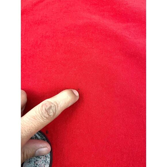 VTG Detroit Red Wings NHL Shirt XL 2000's Lee Sport T-Shirt 100% Cotton - Picture 14 of 15